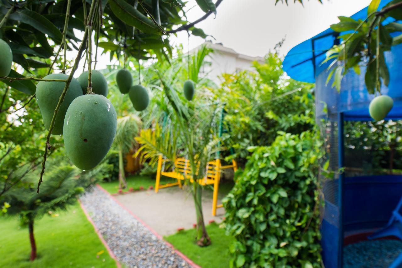 Galaxy Guest House Siddharthanagar Luaran gambar